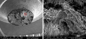 Ductile Fracture Surface